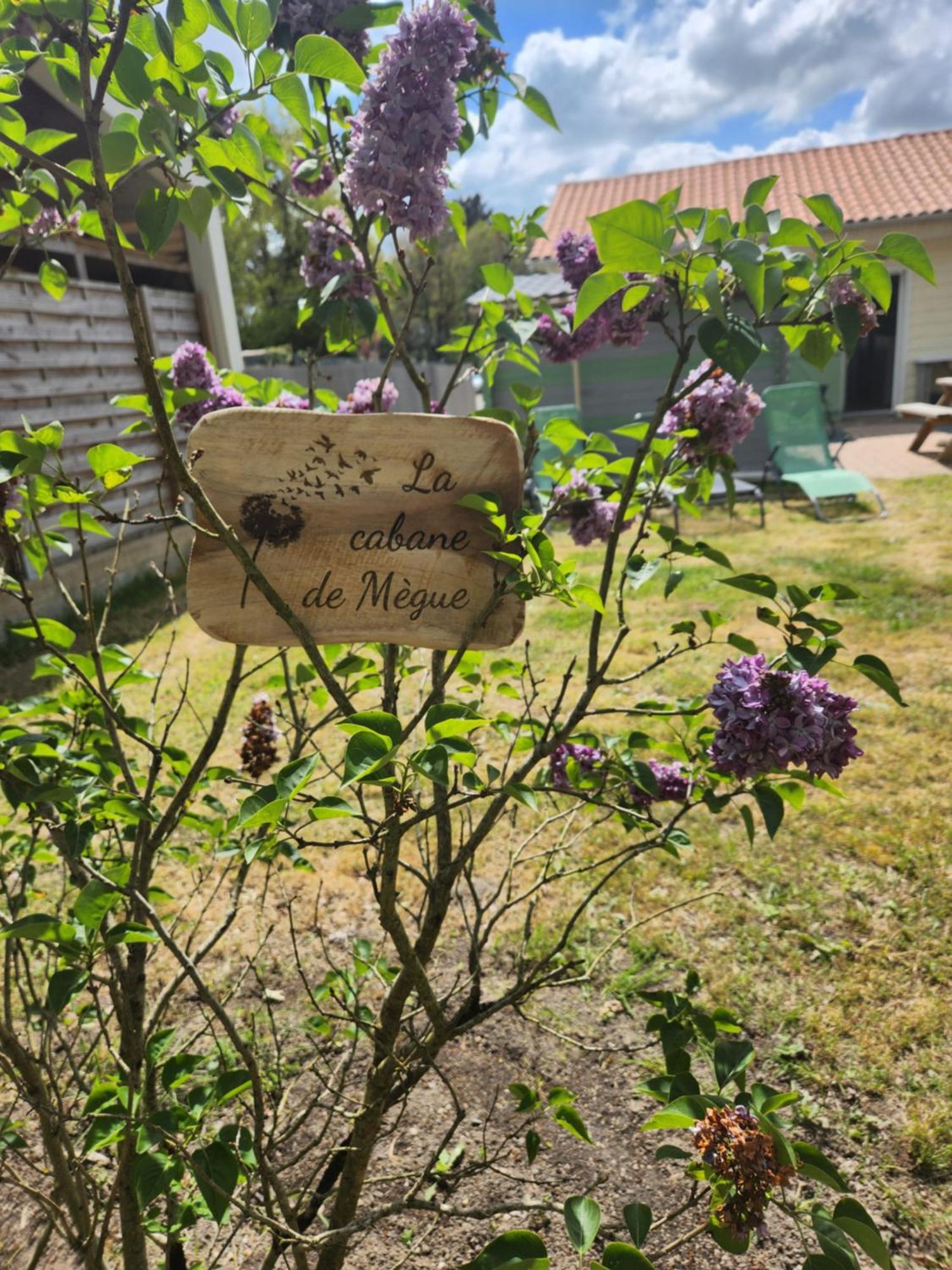 La Cabane De Megue Froidfond Kültér fotó